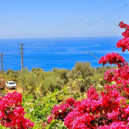 Sarı - Luxury With Private Pool&jacuzzi * Kaş