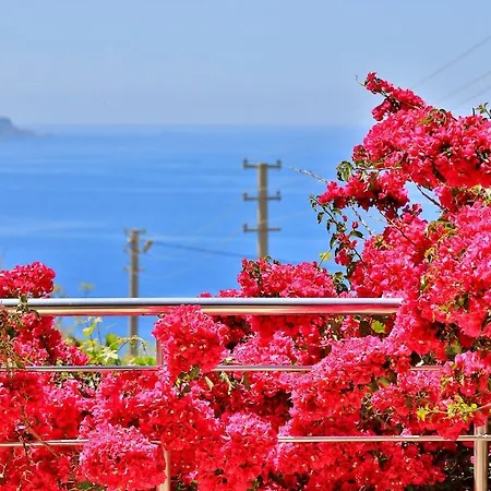 Sarı - Luxury With Private Pool&jacuzzi